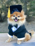 Tassel Degree Hat Pet Products Graduation Hat Pets