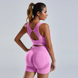 2pcs Yoga Set Women's Vest And Shorts Tracksuit Seamless Workout Sportswear