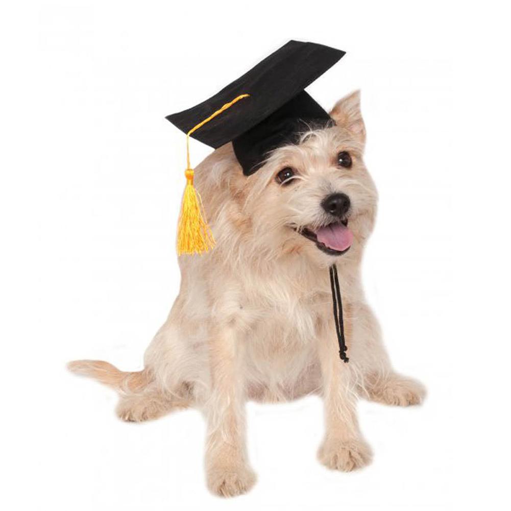 Tassel Degree Hat Pet Products Graduation Hat Pets