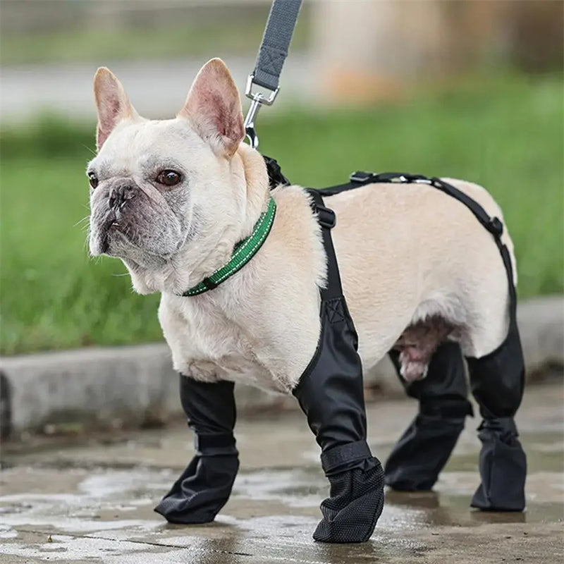 Waterproof Dog Shoes Adjustable Dog Boots footwear.