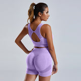 2pcs Yoga Set Women's Vest And Shorts Tracksuit Seamless Workout Sportswear